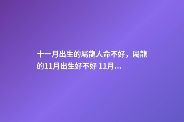 十一月出生的屬龍人命不好，屬龍的11月出生好不好 11月屬龍的人命好嗎 11月屬龍人的命運如何-第1張-觀點-玄機派